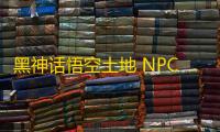 黑神话悟空土地 NPC
：传统与现代的交织